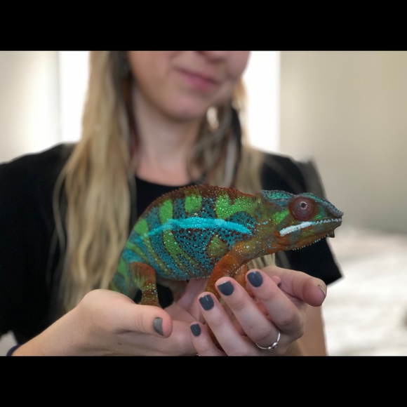 Meet your Posher, Marisa - Picture 4 of 16